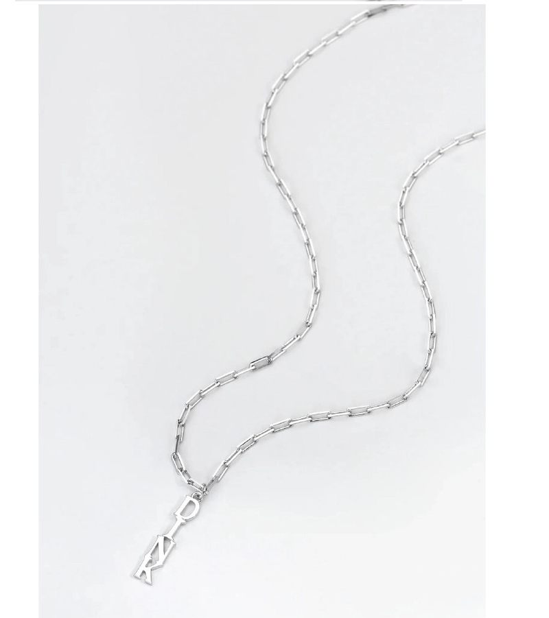 Load image into Gallery viewer, Picklebelle Pickleball Dinks On Me Silver Necklace
