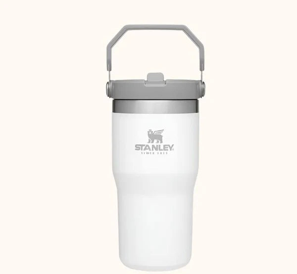 Load image into Gallery viewer, Stanley Tumbler 20 oz- Pickleball Paddle Design
